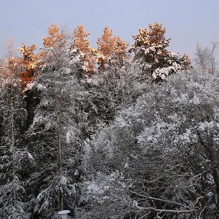 Kalustettu Kolmio Alfred *