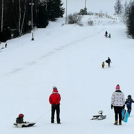 Lejlighed Kalustettu Kolmio Alfred Kokkola (Karleby)