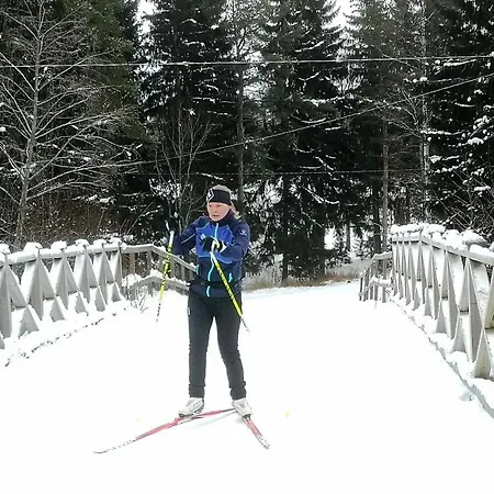 Kalustettu Kolmio Alfred