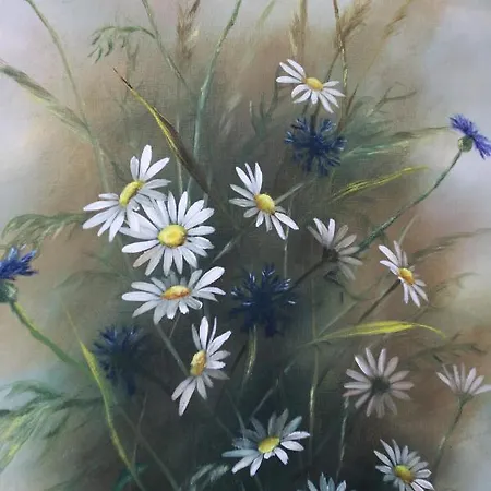 Appartamento Kalustettu Kolmio Alfred *