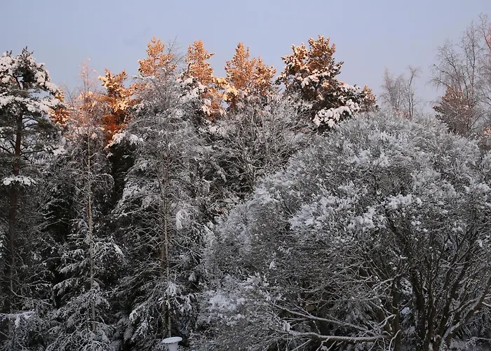 Kalustettu Kolmio Alfred *
