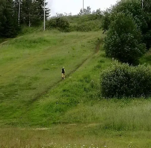 アパート Kalustettu Kolmio Alfred *