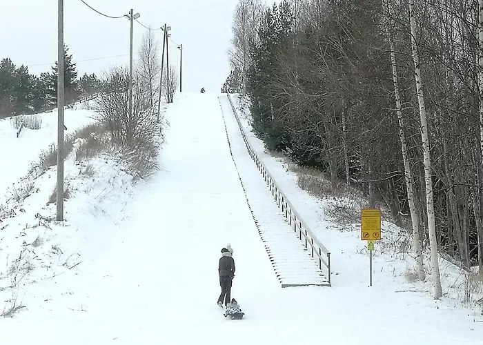 Kalustettu Kolmio Alfred * コッコラ