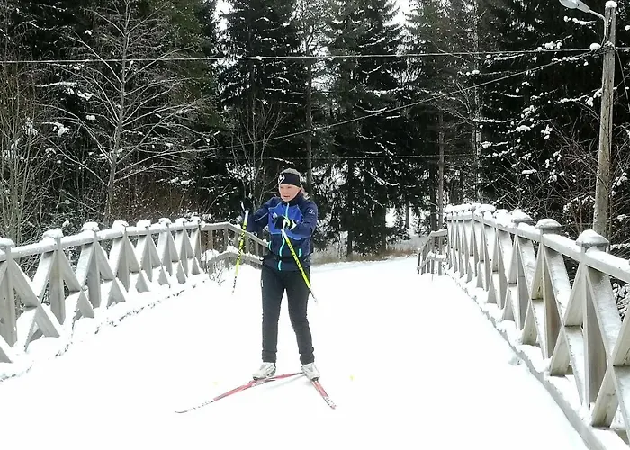 Kalustettu Kolmio Alfred